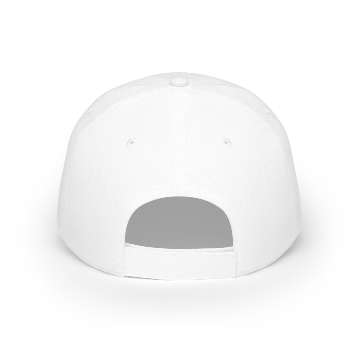 MIXED PAYER SOURCE Low Profile Baseball Cap